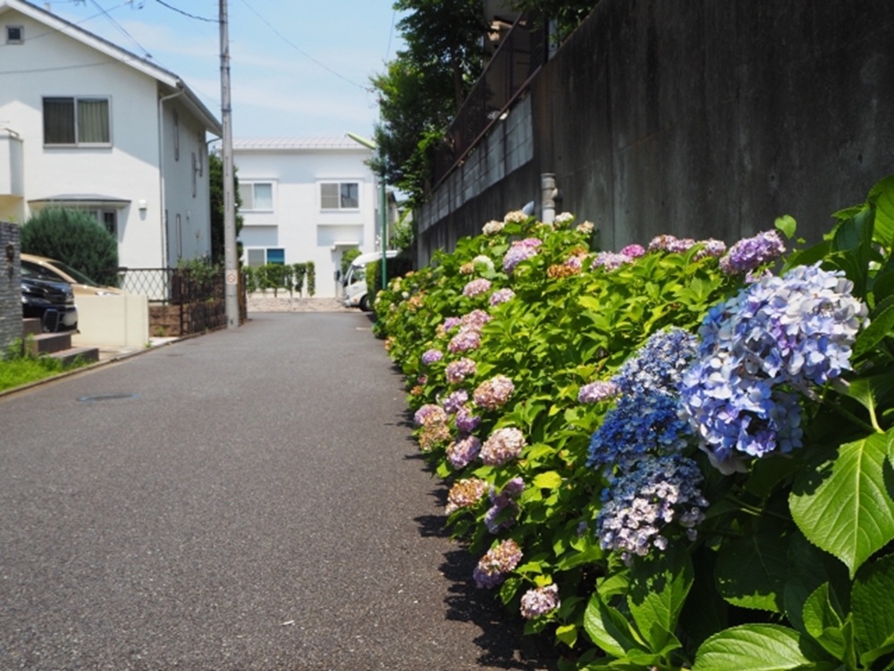 世田谷の街並み(東京都・世田谷区)